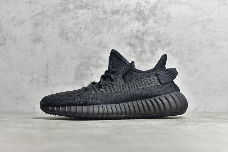 Adidas Yeezy Boost 350 V2