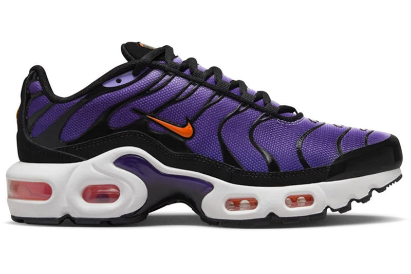 Nike air max plus og